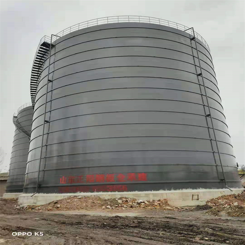 天安乡3万吨大型钢板库