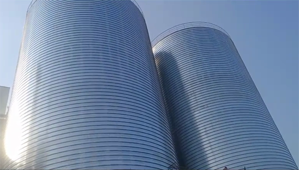 天安乡2座混凝土高架卷板仓